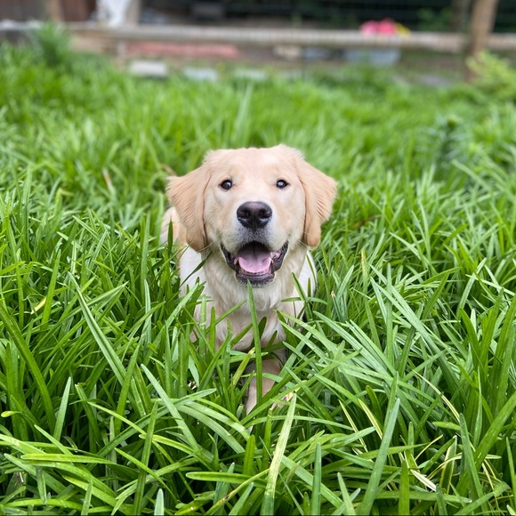 Meet your Posher, Brittney - Picture 3 of 3